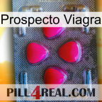 Prospecto Viagra 13